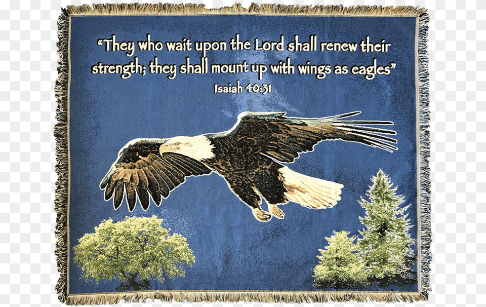 On Eagles Wings Blanket Bald Eagle, Animal, Bird, Plant, Tree Free Transparent Png