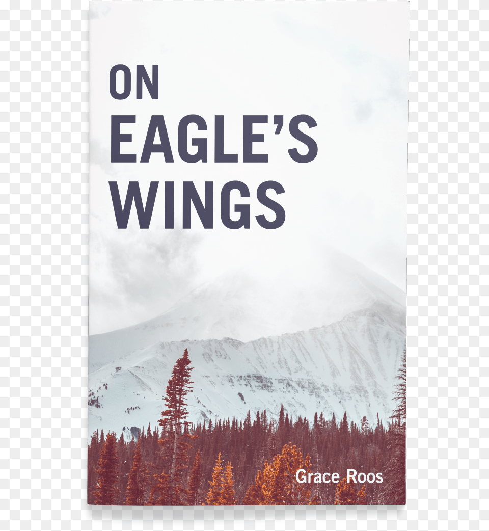 On Eagles Wings Summit, Conifer, Fir, Plant, Tree Free Transparent Png