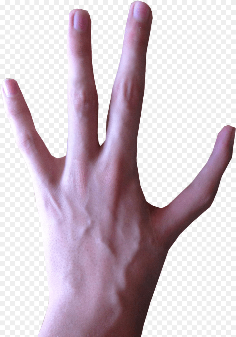 On Hand Clipart Banner Free Library 4 Fingered 4 Finger Hand, Body Part, Person, Adult, Female Png
