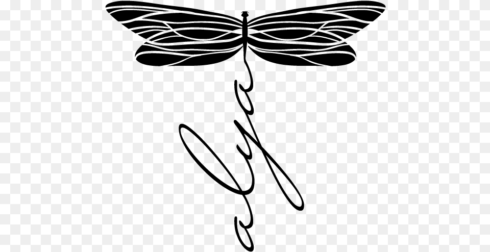 On The Wings Of The Dragonfly Flash, Gray Free Png