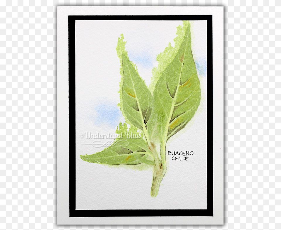 On This Finished Sample I Added A Small Amount Of Picture Frame, Leaf, Plant, Herbal, Herbs Free Png Download