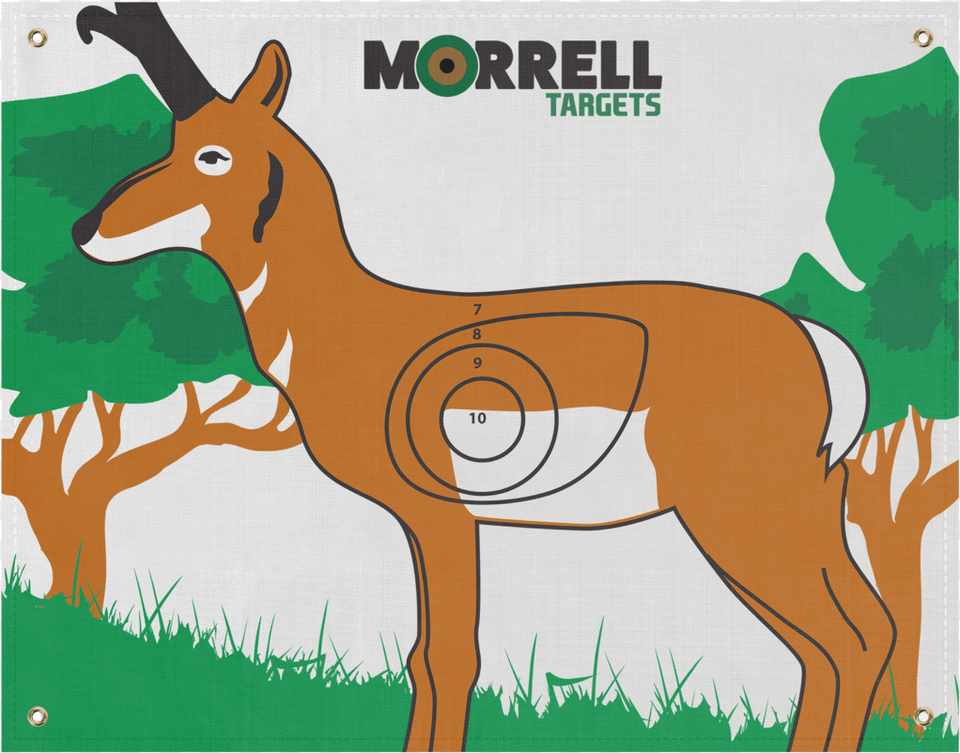 Onasp Polypropylene Archery Target Face Nasp 3d Targets, Animal, Antelope, Impala, Mammal Free Transparent Png