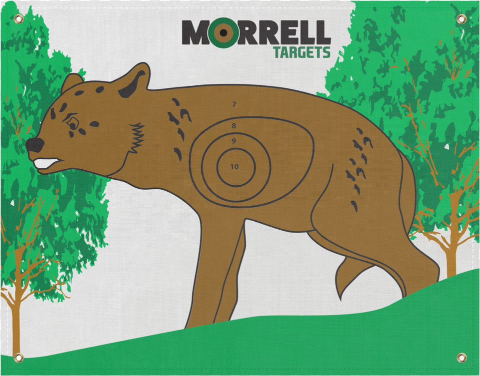 Onasp Polypropylene Archery Target Face Nasp 3d Targets, Animal, Zoo, Bear, Mammal Free Png Download