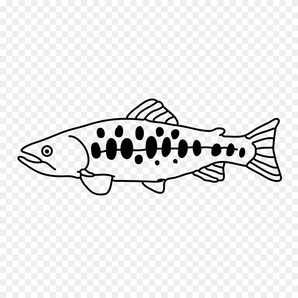 Oncorhynchus Masou Formosanus Clipart, Animal, Fish, Sea Life, Trout Png Image