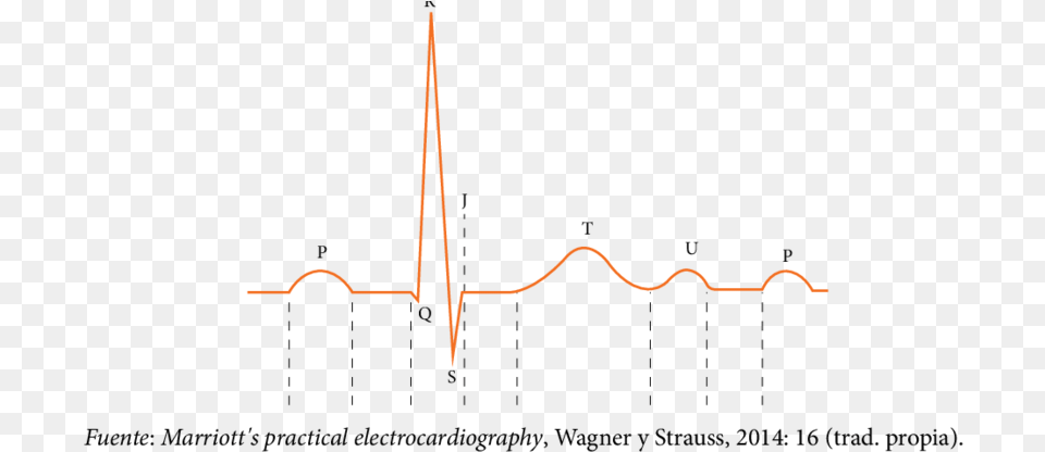 Ondas En El Ciclo Cardiaco Completo Ondas Del Ciclo Cardiaco Free Png Download