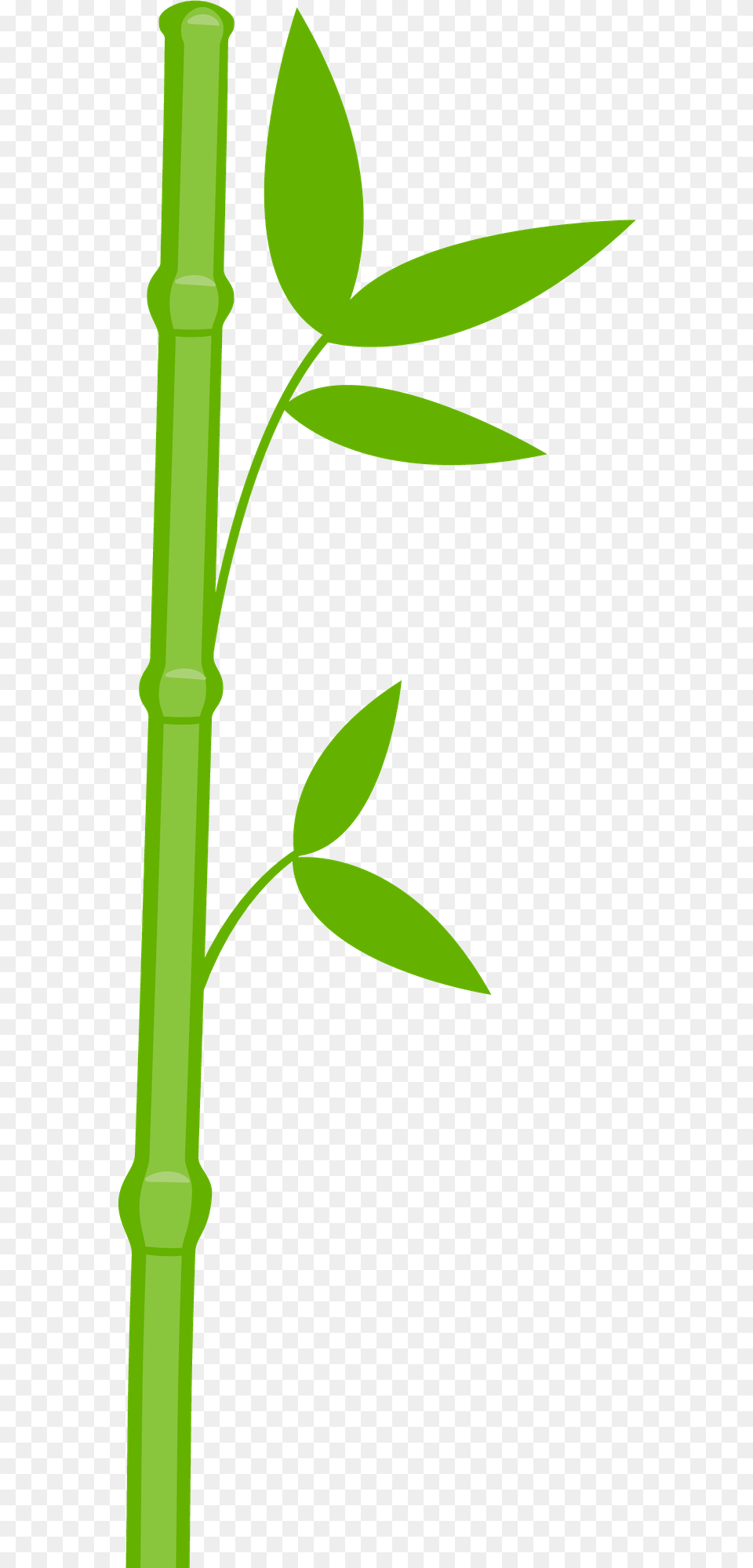 One Clipart Bamboo Bambu Panda, Plant Free Transparent Png