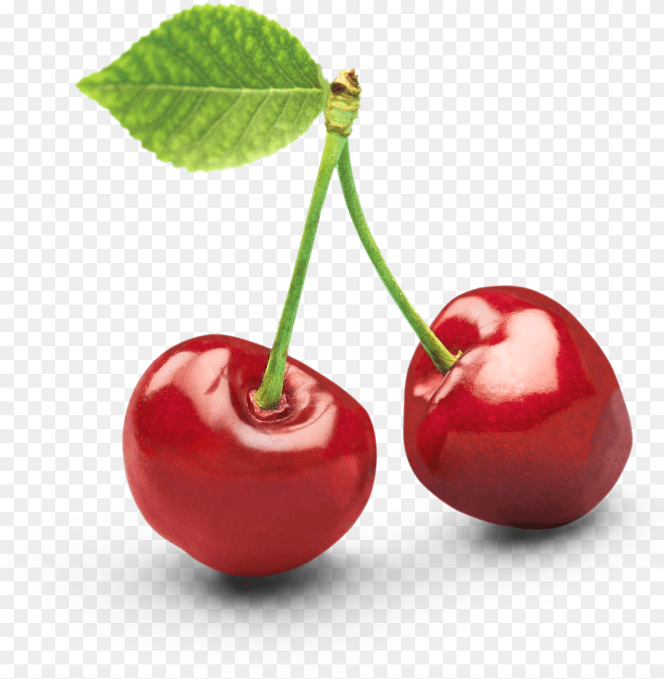 One Clipart Object Picture Black Cherry Vector Free Png