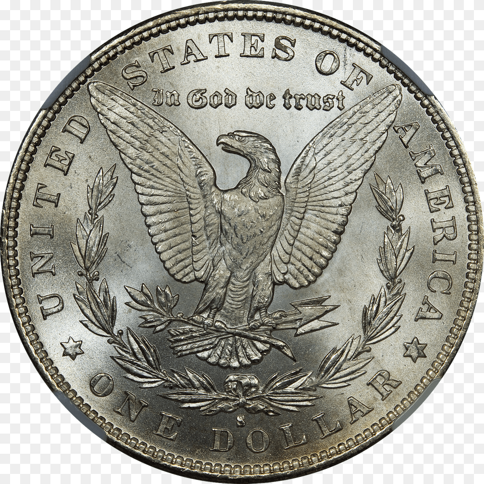 One Dollar Coin Morgan Dollar, Animal, Bird, Money Png