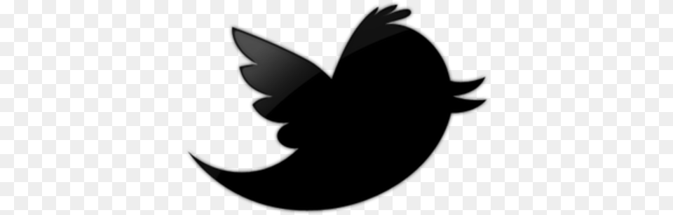 One Former Twitter Employee39s Perspective On Race And Black Twitter Logo Psd, Silhouette, Lighting Free Png