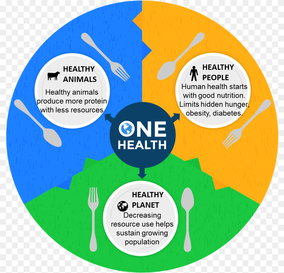 One Health Healthy Environment Healthy Animal, Cutlery, Fork, Disk, Person Png
