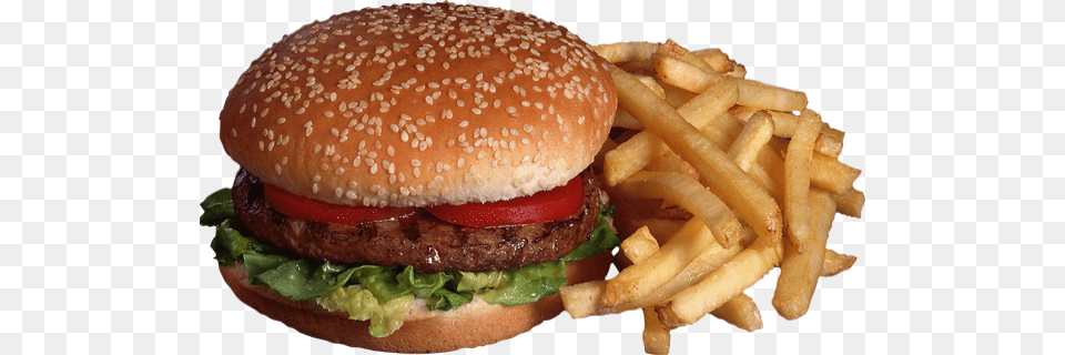 One Hundred Dollar Hamburger A Guide, Burger, Food, Fries Free Png Download