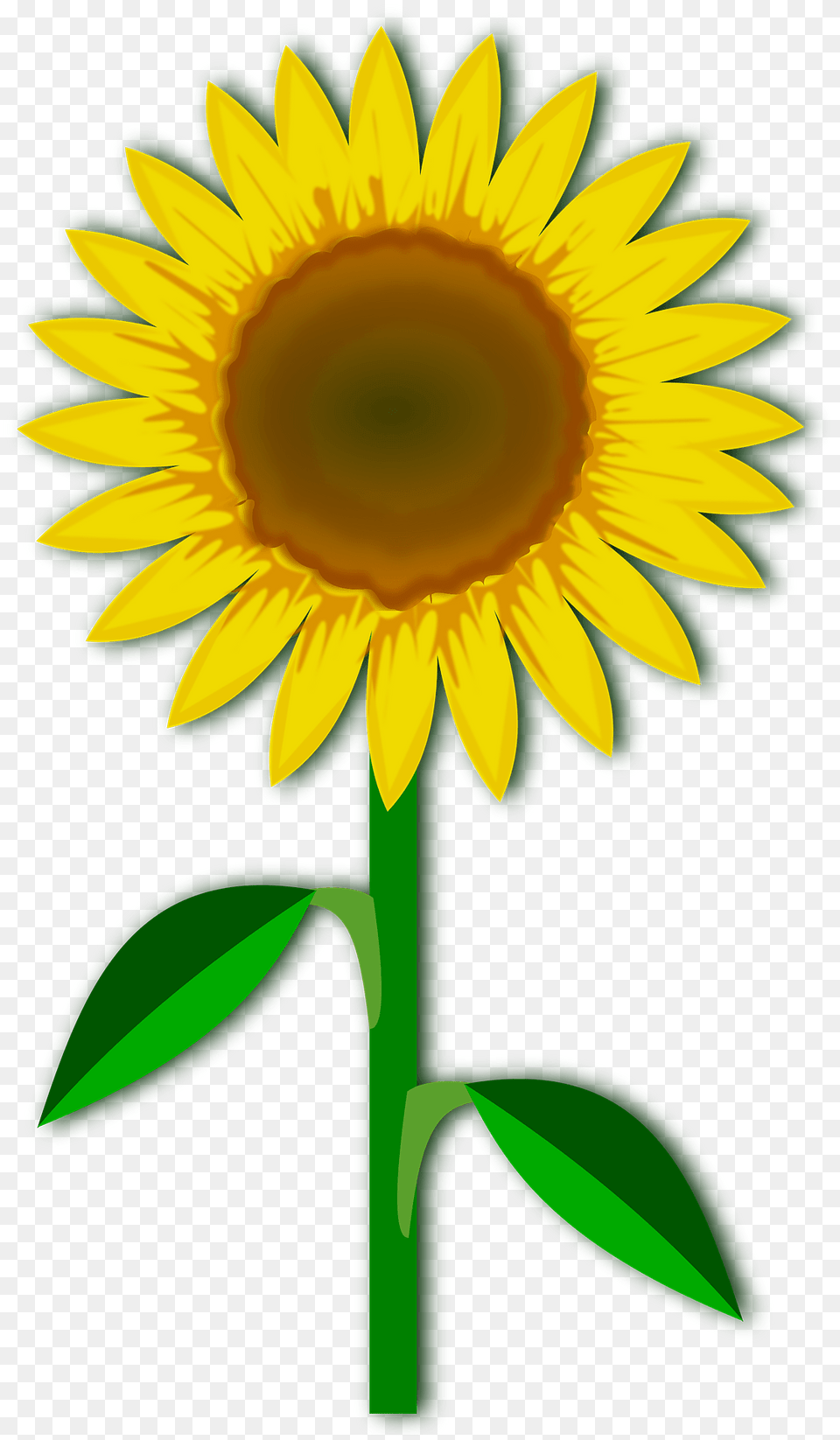 One Large Yellow Sunflower With Stem Clipart, Flower, Plant, Dynamite, Weapon Free Png Download