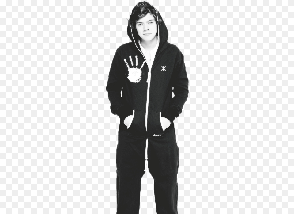 One Piece And Harry Styles Image One Direction Onesie, Knitwear, Clothing, Sweatshirt, Hood Free Png