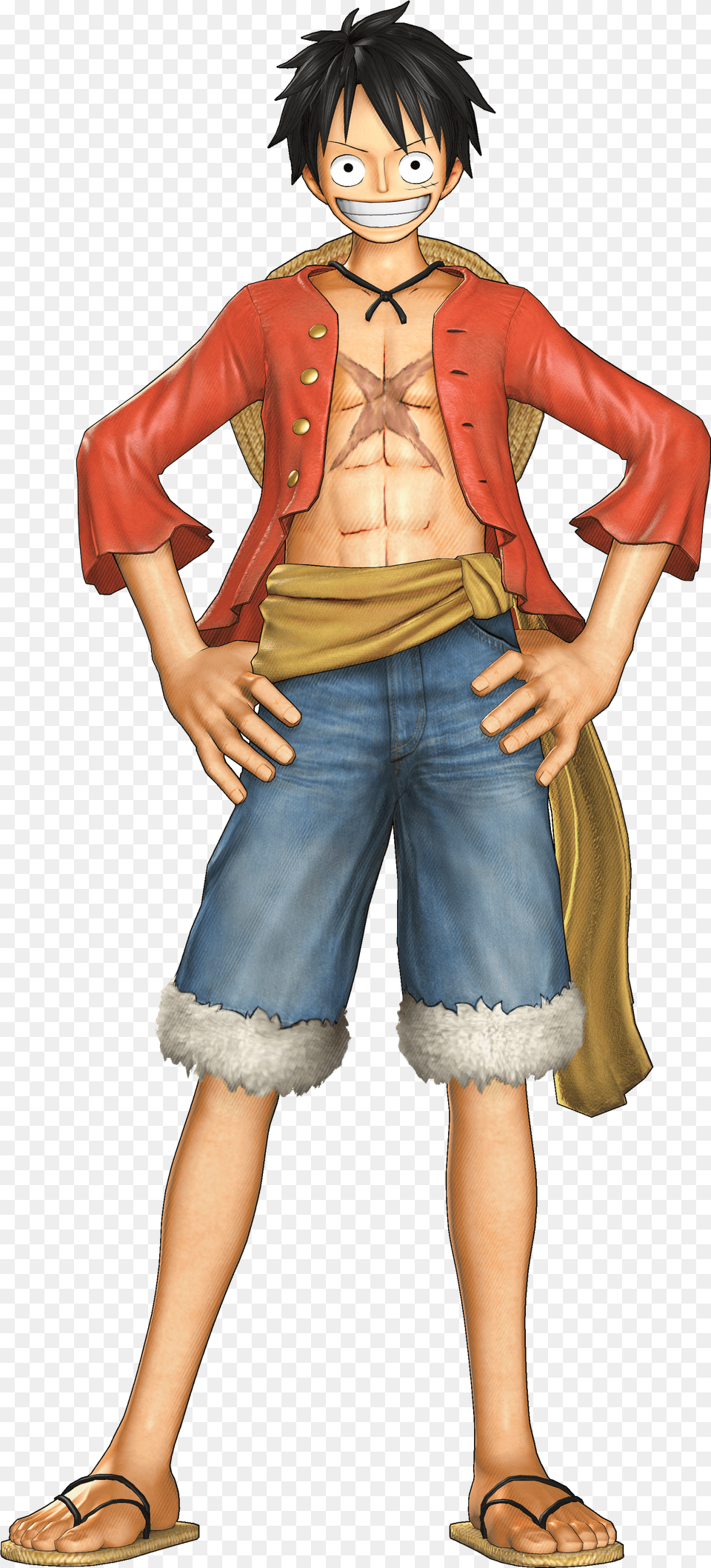 One Piece By Bloomsama One Piece By Bloomsama Luffy Pirate Warriors Free Png