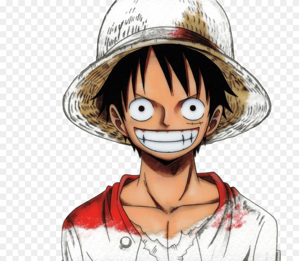 One Piece One Piece 15th Anniversary Best Album, Adult, Publication, Person, Hat Free Png