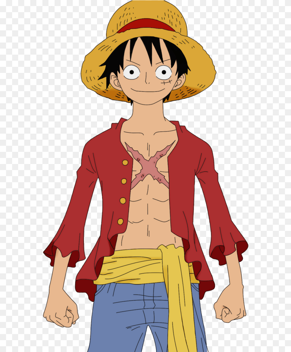 One Piece Whole Body Luffy One Piece Luffy, Book, Comics, Publication, Adult Png