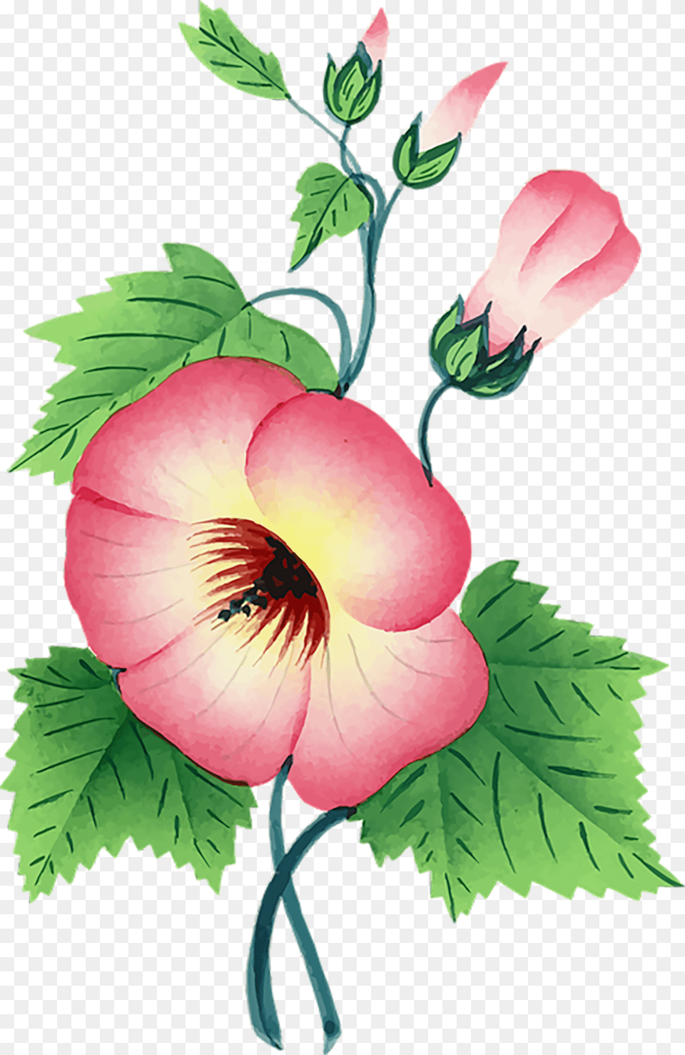 One Stem Flower, Art, Graphics, Plant, Floral Design Free Png