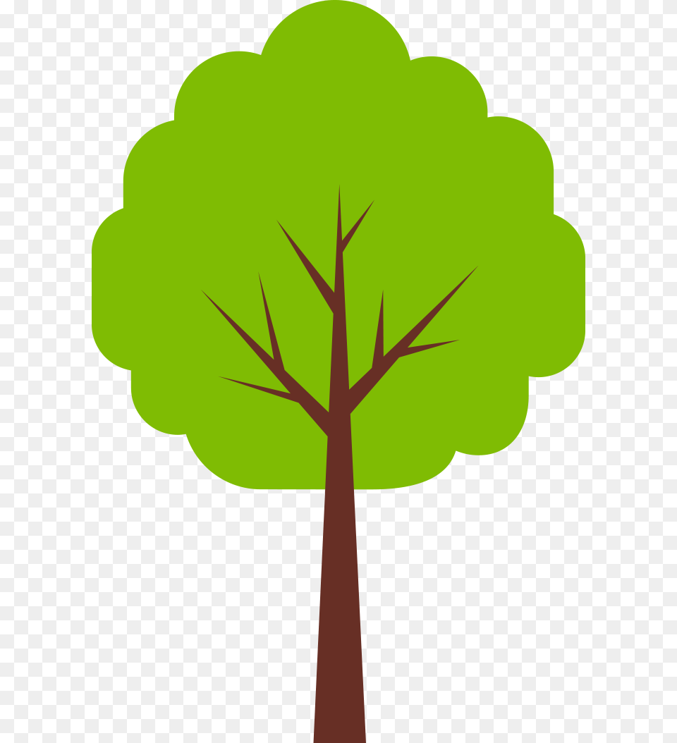 One Step Paper Towels, Leaf, Plant, Tree, Person Free Transparent Png