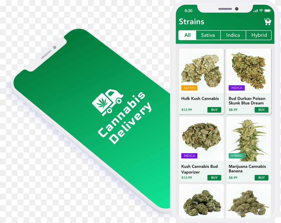 One Such Technological Invention Of Technology Is Mobile Sign, Herbal, Herbs, Plant, Weed Free Png Download