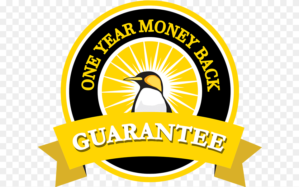 One Year Money Back Guarantee, Animal, Bird, Logo, Penguin Free Png