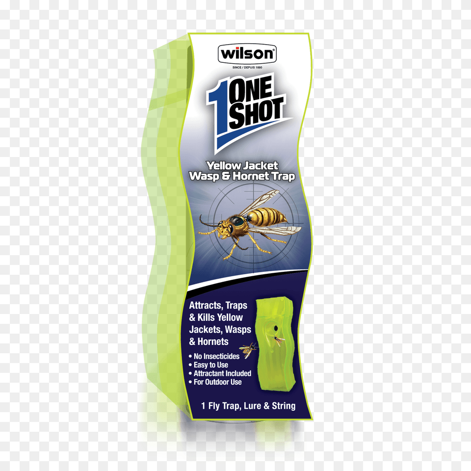 One Yellow Jacket Wasp Hornet Trap, Animal, Bee, Insect, Invertebrate Free Png