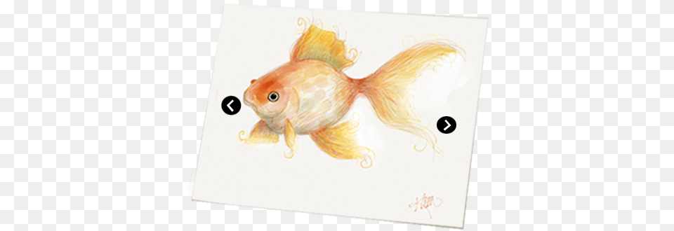 Oneil Gallery Can Help With Your Marketing Marketing, Animal, Sea Life, Fish, Goldfish Png