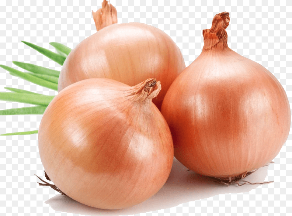 Onion, Food, Produce, Plant, Vegetable Png Image