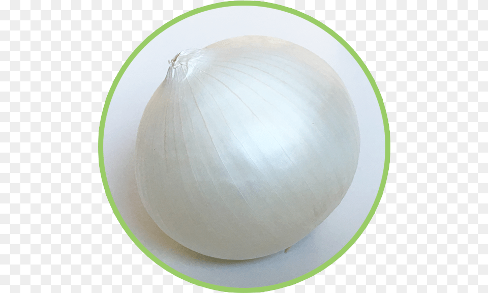 Onion, Food, Produce, Plant, Vegetable Png Image