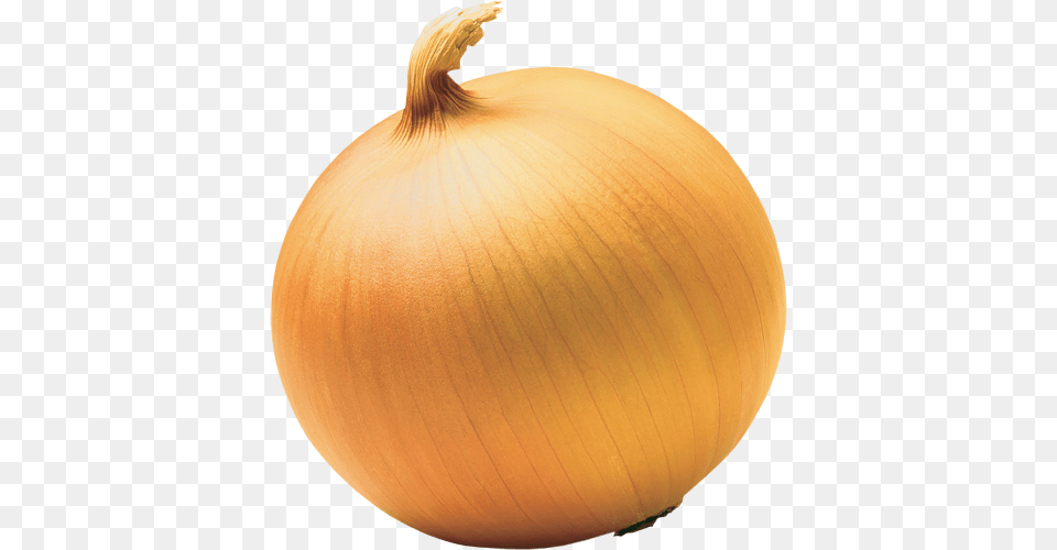 Onion, Food, Produce, Plant, Vegetable Free Png