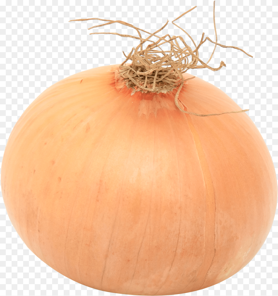 Onion, Food, Produce, Vegetable, Plant Free Png