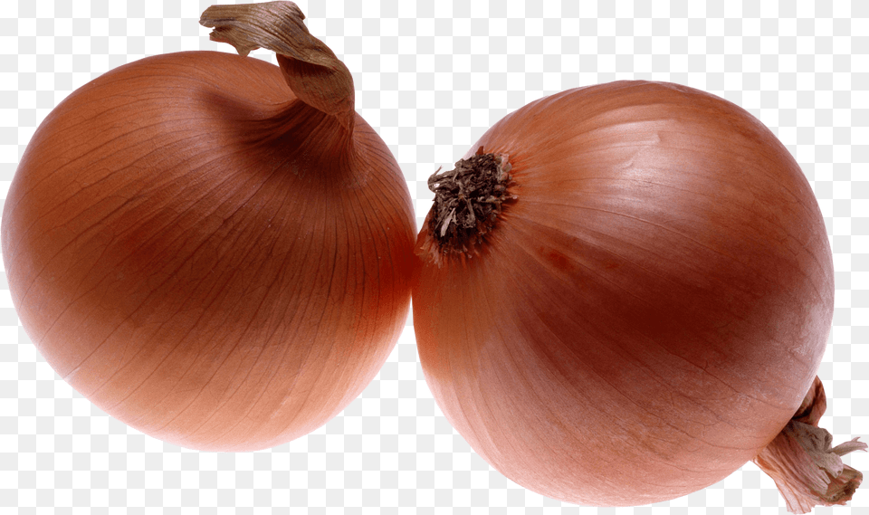 Onion 2 Onions, Food, Produce, Plant, Vegetable Png Image