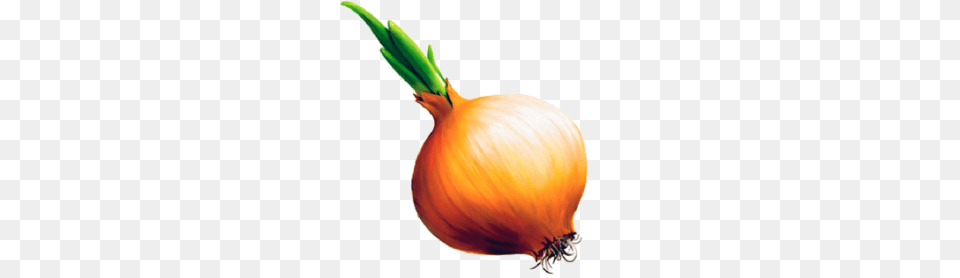 Onion, Produce, Food, Vegetable, Plant Free Png
