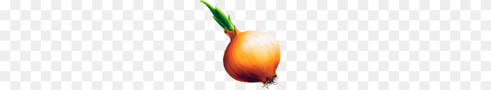 Onion, Produce, Food, Vegetable, Plant Png