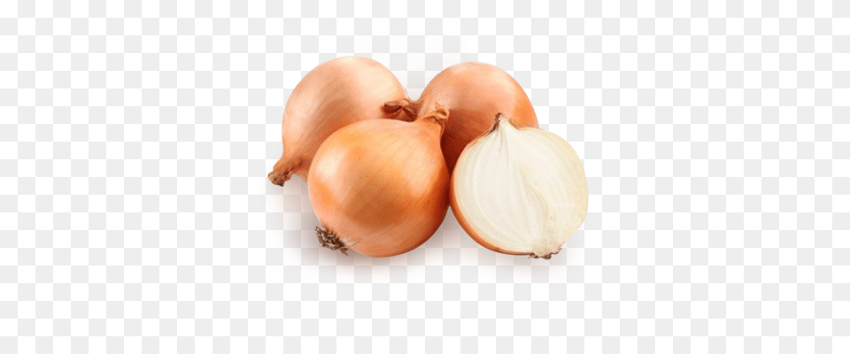 Onion, Food, Produce, Plant, Vegetable Png Image