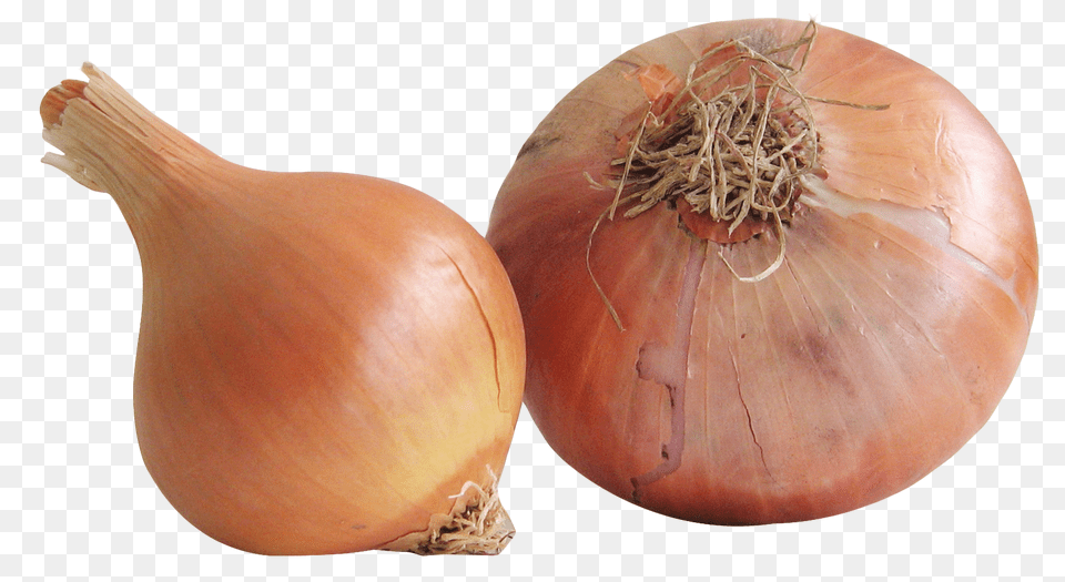 Onion, Food, Produce, Plant, Vegetable Png