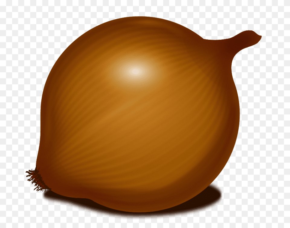 Onion, Food, Produce, Plant, Vegetable Png