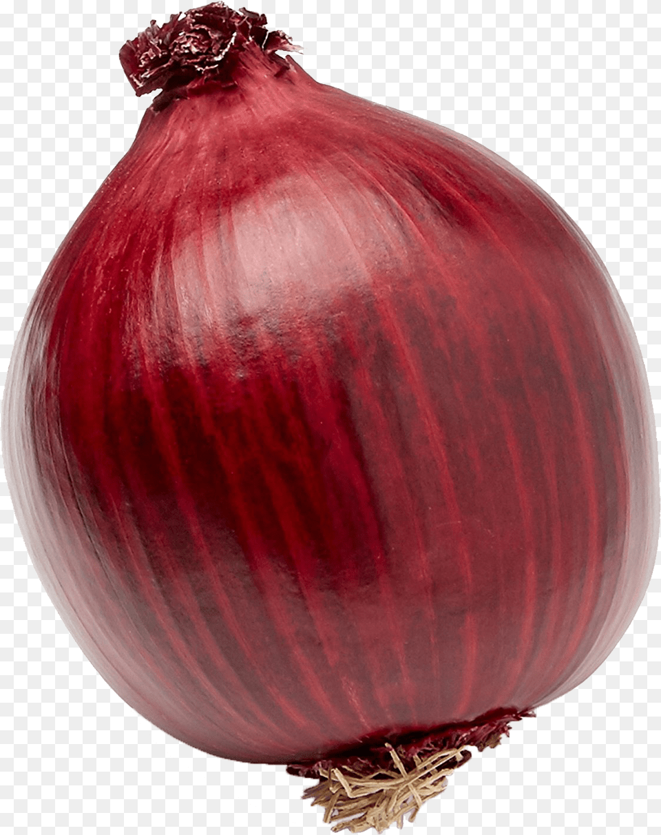 Onion, Food, Produce, Plant, Vegetable Png Image