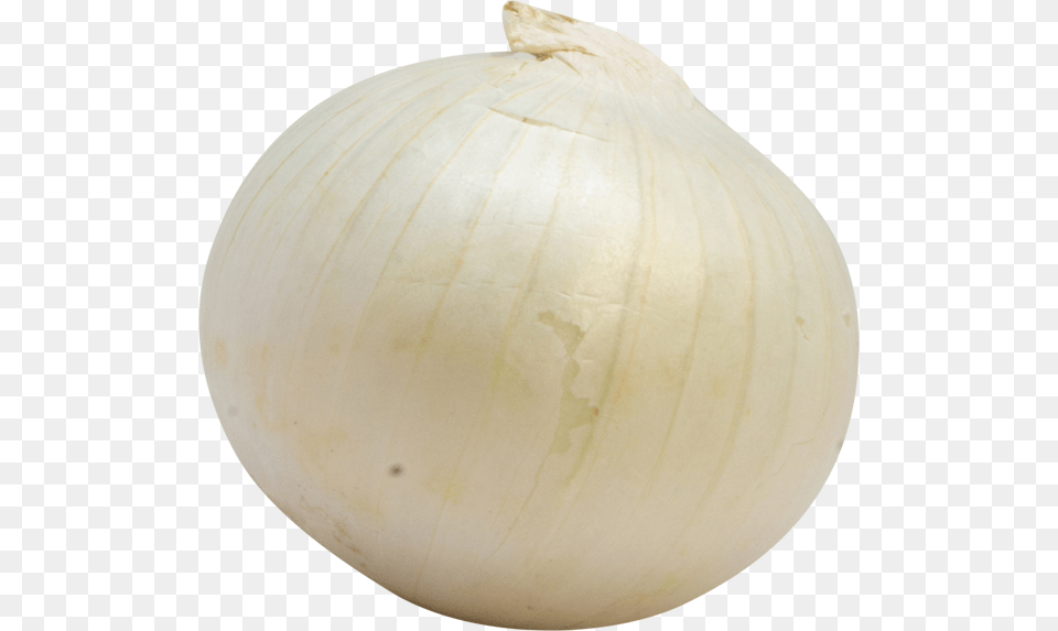 Onion, Food, Produce, Plant, Vegetable Free Png Download
