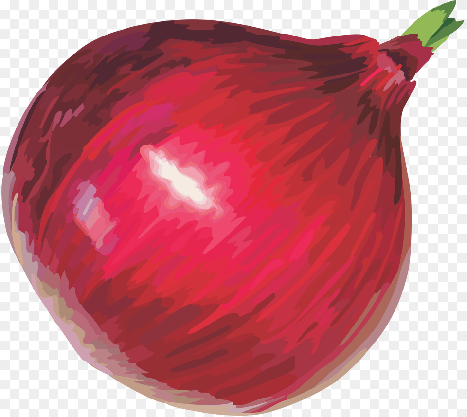 Onion, Food, Produce, Plant, Vegetable Free Transparent Png