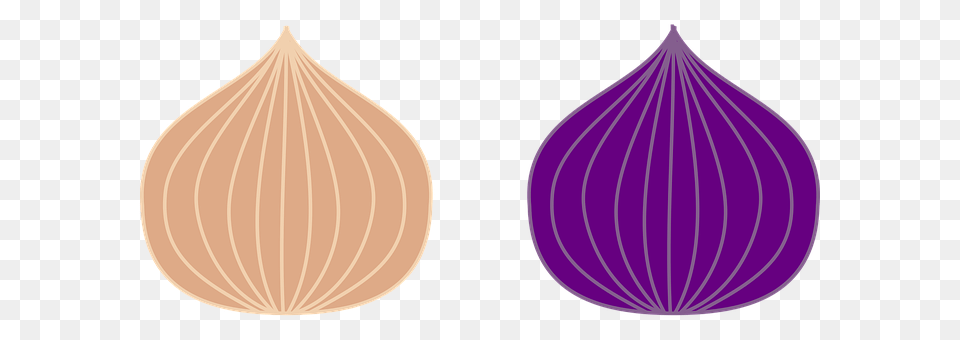 Onion Food, Produce, Plant, Vegetable Free Png