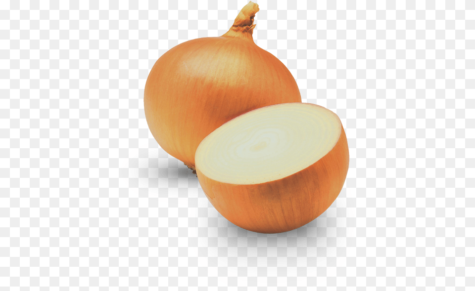 Onion, Food, Produce, Plant, Vegetable Free Png Download