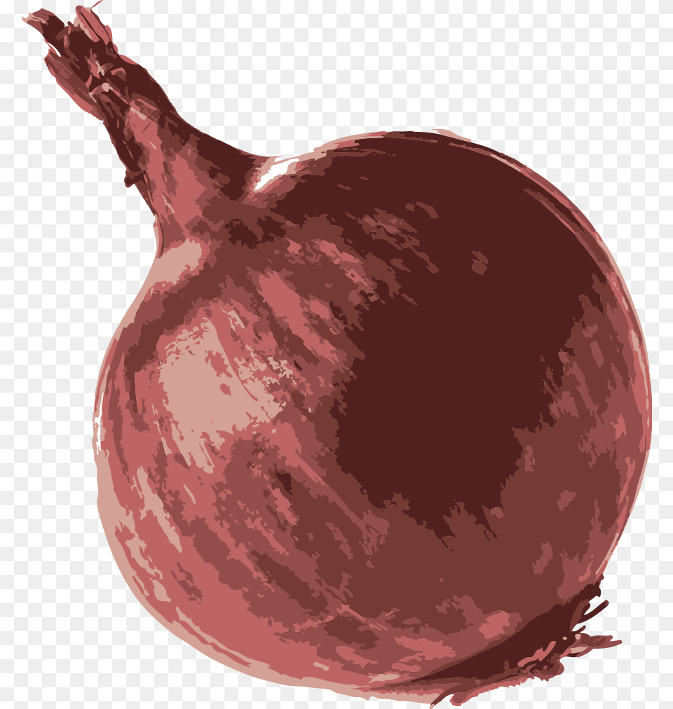 Onion, Food, Produce, Plant, Vegetable Png