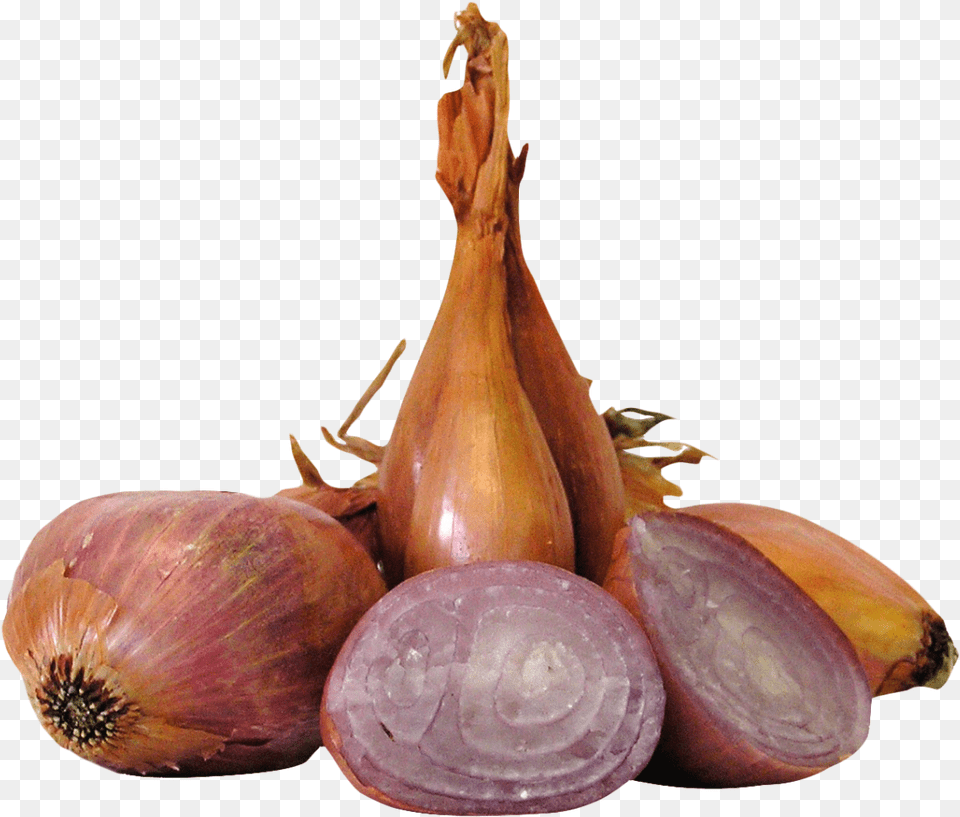 Onion, Food, Produce, Plant, Shallot Free Png Download