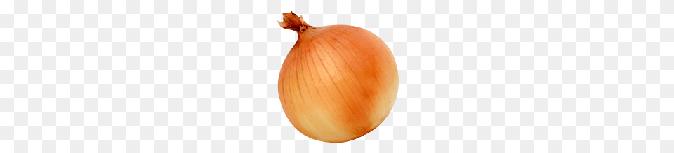 Onion, Food, Plant, Produce, Vegetable Free Png