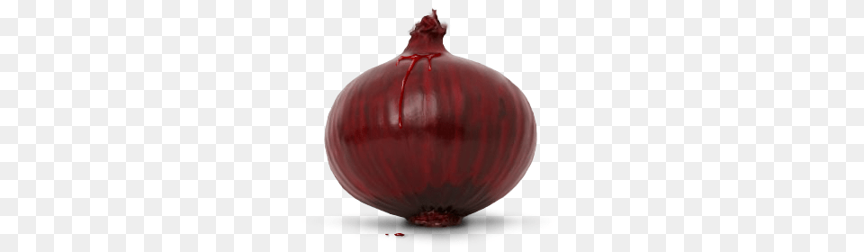 Onion, Food, Produce, Vegetable, Plant Png