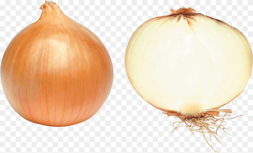 Onion Png Image