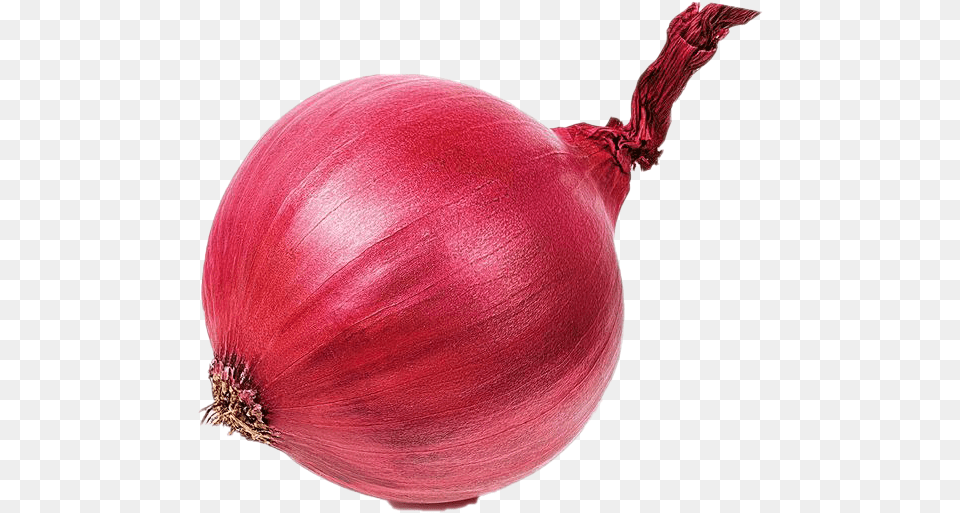 Onion, Food, Plant, Produce, Vegetable Png Image