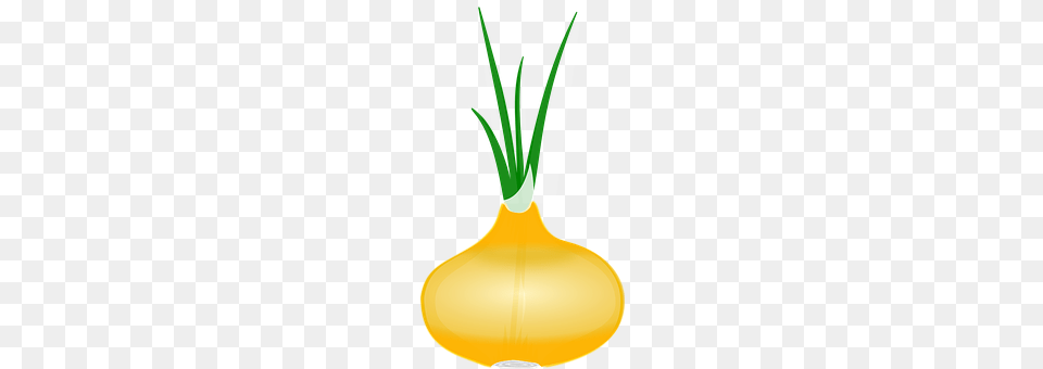 Onion Food, Produce, Fruit, Plant Png