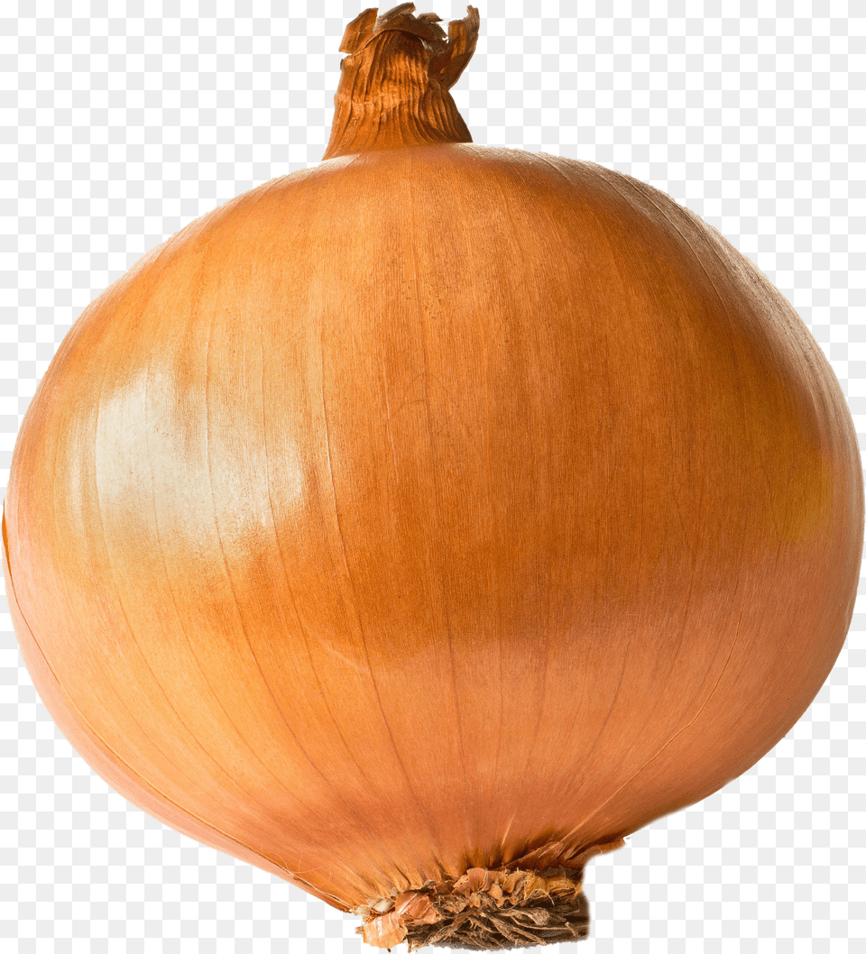 Onion Png