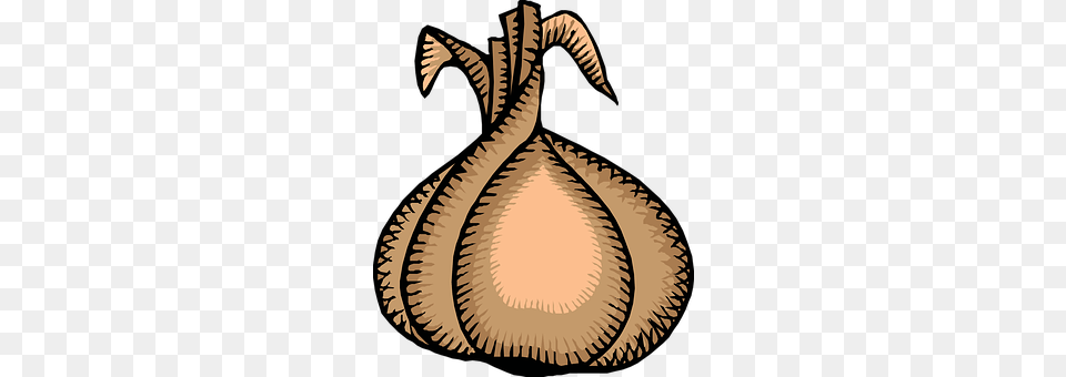 Onion Food, Produce, Plant, Gourd Png